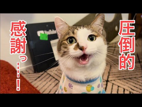 半年寝かせたアレを開封しつつ圧倒的に感謝する金曜日ライブ(YouTube)