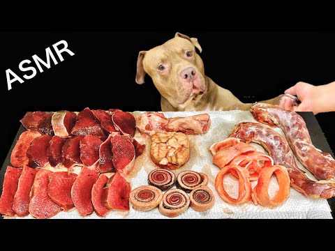圧倒的な力で骨を噛み砕くピットブルが愛おしすぎるw【閲覧注意ASMR】(YouTube)