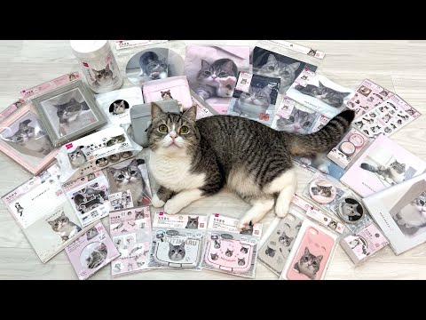 【ご報告】ついにもち様がとんでもないことになりました…(YouTube)
