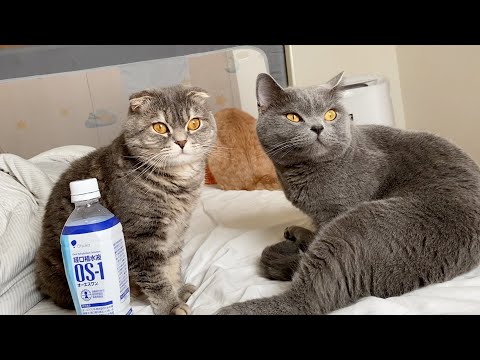 I collapsed from heat stroke and woke up in…(YouTube)