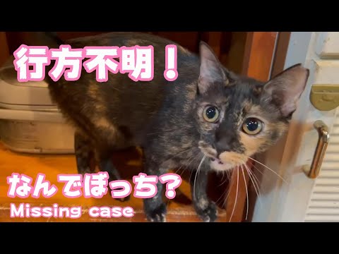 行方不明事件発生！Missing(YouTube)