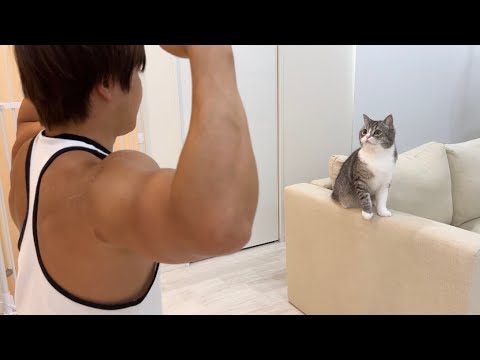 とんでもないマッチョが家に来たときの猫の反応がかわいすぎましたwww(YouTube)