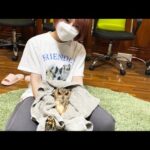 この後、恐怖の爪切りが始まります(YouTube)