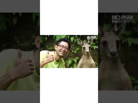 バイオパークは動物が近いので・・・。この夏CMです。(YouTube)