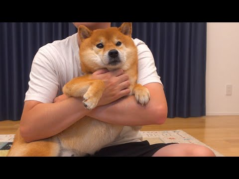 何かに怯える柴犬、その真相が意外すぎてビックリした。。(YouTube)