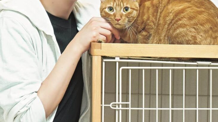 茶トラ猫・リドくんとのツーショットも収録！謎解きクリエイター松丸亮吾さんの初写真集『すがお』(ブログ)