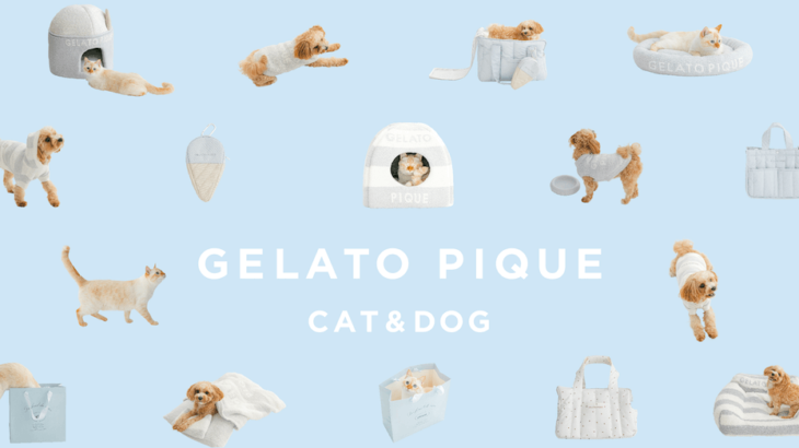 モコモコな触り心地に猫もうっとり♪ ジェラートピケから初のペット用品ブランドが8/10に登場(ブログ)