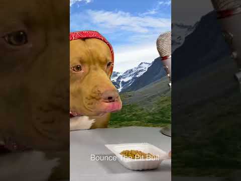 納豆が好きなのバレバレなイッヌ😂😂😂(YouTube)