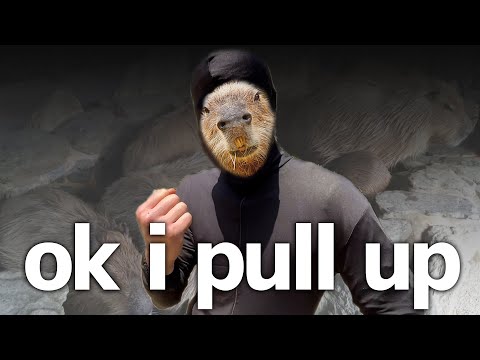 ok i pull up【長崎バイオパーク ver.】(YouTube)