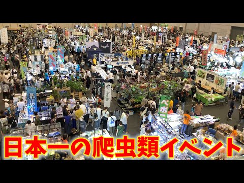 【9店舗】爬虫類のプロが惚れた生体達を紹介してもらうと・・・【ジャパンレプタイルズショー】(YouTube)
