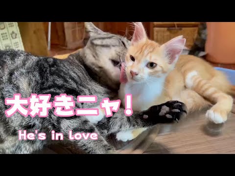 大好き！　He’s in love(YouTube)