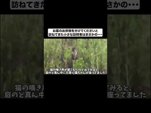 お供物を求めてやってきた訪問者(YouTube)
