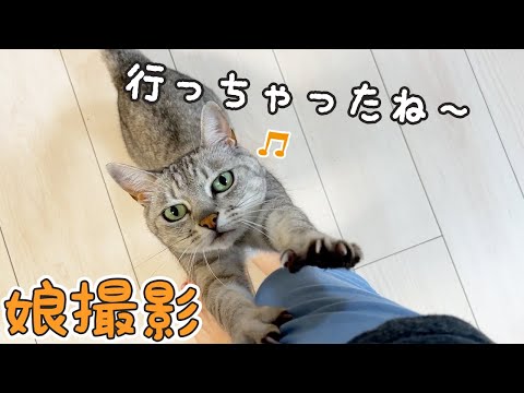 娘と猫4匹だけで1日過ごしたら意外な反応でした…！【パパママ旅行中】(YouTube)