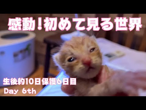 涙！初めて見る世界　Day 6th with us(YouTube)