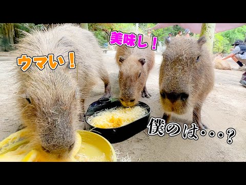 初めての流しそうめんが大盛況すぎて、気まずい感じになってました。【カピバラ】(YouTube)