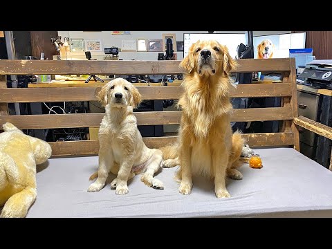 【マックス初参戦】皆さん初めまして、生マックスです。(YouTube)