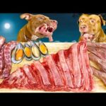 高級な肉を秒で飲み干すアメリカンピットブル【閲覧注意ASMR】(YouTube)