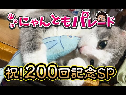 【猫動画】祝！200回記念SP〜にゃんともパレード〜#200(YouTube)