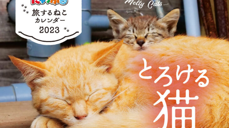 とろける猫の写真に癒やされる♪ ねこの旅行誌『にゃっぷる』から2023年版のカレンダーが登場(ブログ)