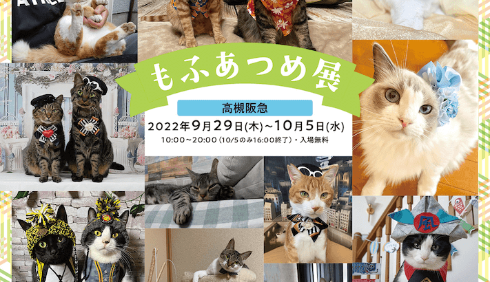 モフモフな猫は好きですか？猫の写真やグッズなど約800点が集結する「もふあつめ展」が大阪で開催中(ブログ)