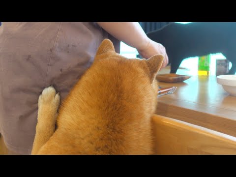 誕生日プレゼントがシュールすぎました。。。(YouTube)