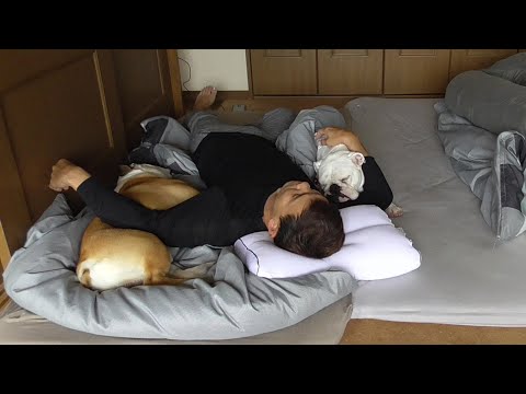 ママがいなくなったので寂しく愛犬と密になって寝ようと思います…(YouTube)