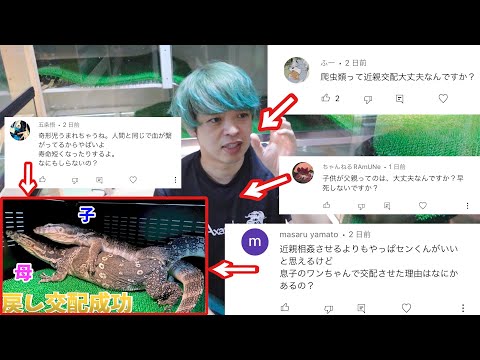 【繁殖のリスク】と戻し交配の狙いについて(YouTube)