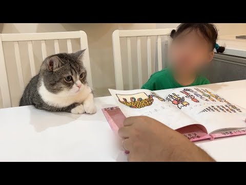 絵本の読み聞かせをしてたら一緒に参加してくる猫がかわいすぎたw(YouTube)