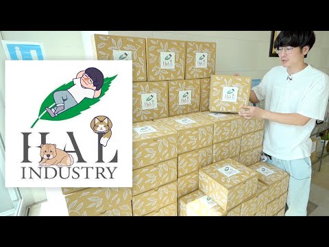 【50個限定】ハルさんとのコラボ商品が完成したので神戸レプタイルズワールドで販売します！(YouTube)