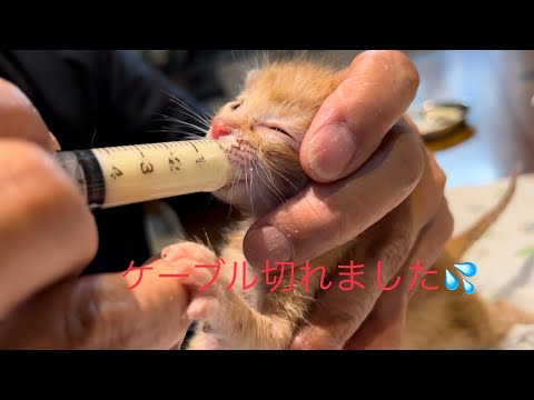 台風でケーブルが切れました💦(YouTube)