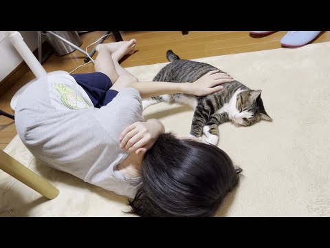 ピアノの練習を猫と遊んでサボる娘(YouTube)