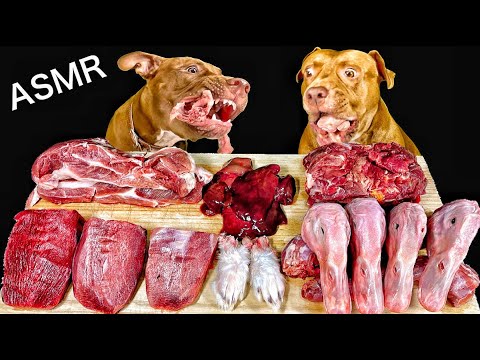 【閲覧注意ASMR】兎の足と家鴨の頭を食べてる時に謎の音声が録音されました(YouTube)