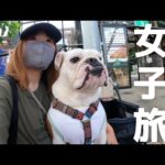 ママと妹犬だけで行く女子旅が楽しすぎたのでもう家に帰らないかもWWW!(YouTube)