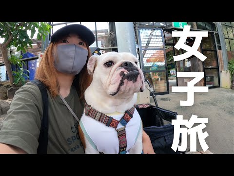 ママと妹犬だけで行く女子旅が楽しすぎたのでもう家に帰らないかもWWW!(YouTube)