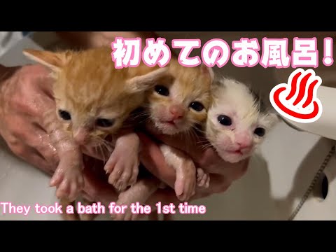 2022 09 15 2youtube(YouTube)