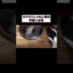 カワウソの赤ちゃん時代のお願いお願いポーズ！！(YouTube)