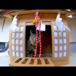 神社の猫に境内を案内してもらった(YouTube)