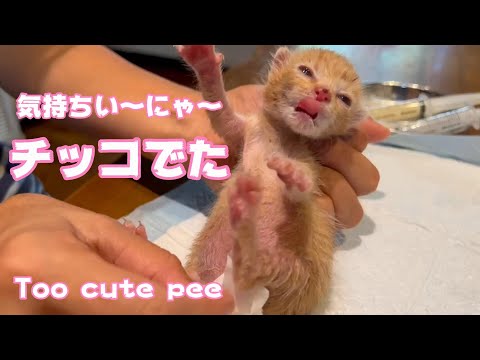 チッコでたにゃ～ 気持ちい～にゃ～ Too cute pee(YouTube)