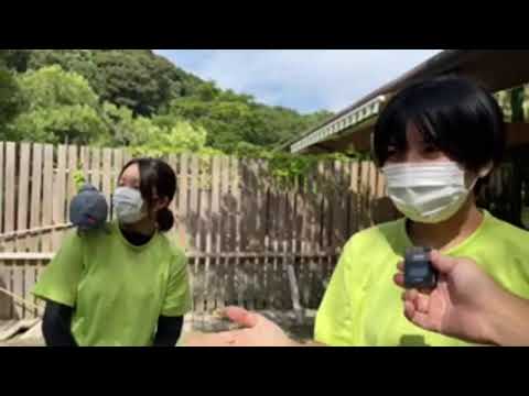 絶滅危惧種の日ライブ‼︎(YouTube)