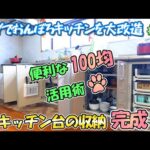 DIYでおんぼろキッチンをリフォーム＃16　100均の便利アイテムを活用したアイデアいっぱいのキッチン台スッキリ収納が完成！(YouTube)