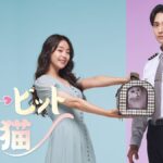 ネコの言葉が分かる女性とイケメンパイロットのラブコメディ、韓国ドラマ『キューピットな猫』(ブログ)