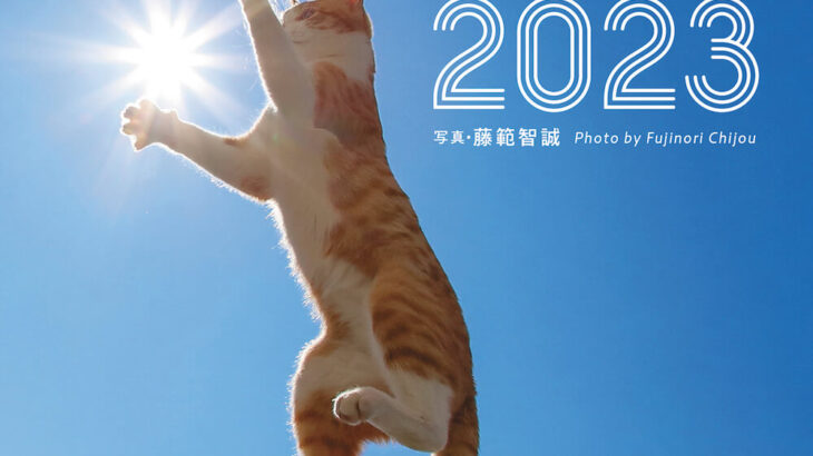 ネコたちのとびきり面白いシーンをたっぷり収録！写真家・藤範智誠さんによる猫カレンダーが発売(ブログ)