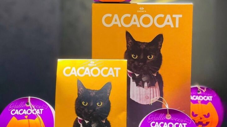 蝶ネクタイの黒猫がとっても凛々しい♪ 猫のチョコレート「カカオキャット」からハロウィン商品が登場(ブログ)