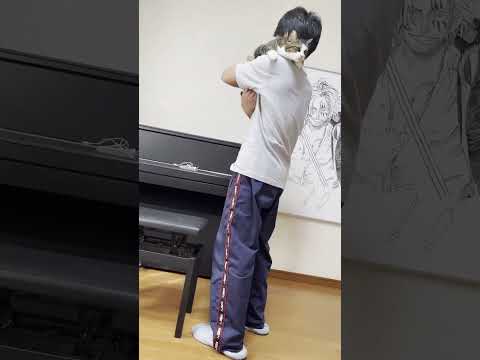 猫に嫌われていないことを証明したいお父さん(YouTube)