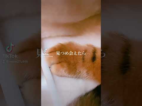エモいニコちゃん💛 #shorts(YouTube)