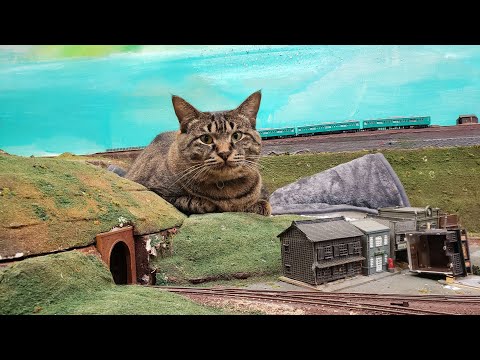 感動猫動画 のライブ配信(YouTube)