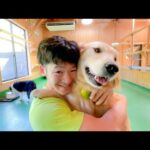 互いの愛を確かめ合う、犬と飼育員(YouTube)