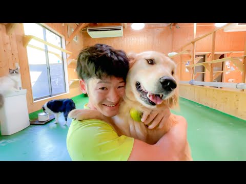 互いの愛を確かめ合う、犬と飼育員(YouTube)