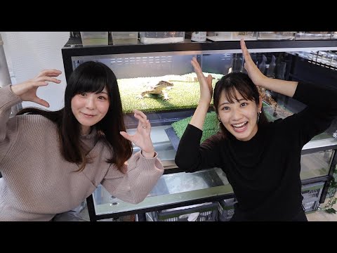爬虫類女子がまた1人増えました(YouTube)