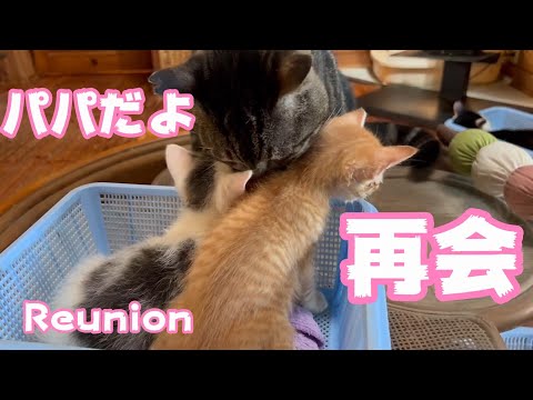 2022 10 03youtube(YouTube)